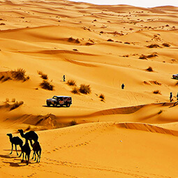 desert cars orange people real UGC travel content photography