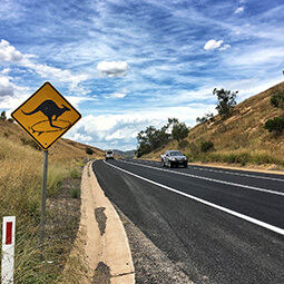 Australia road kangaroo sign car sky clouds UGC travel content photography